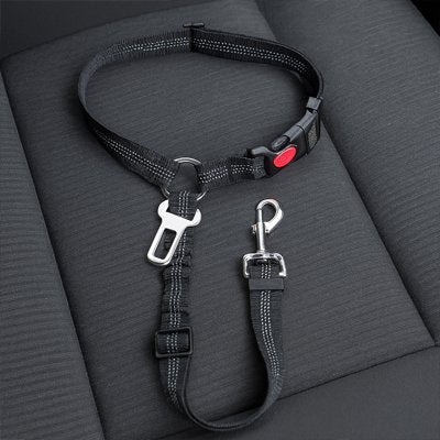 Ceinture de sécurité pour chien | SafeDrive - All in One